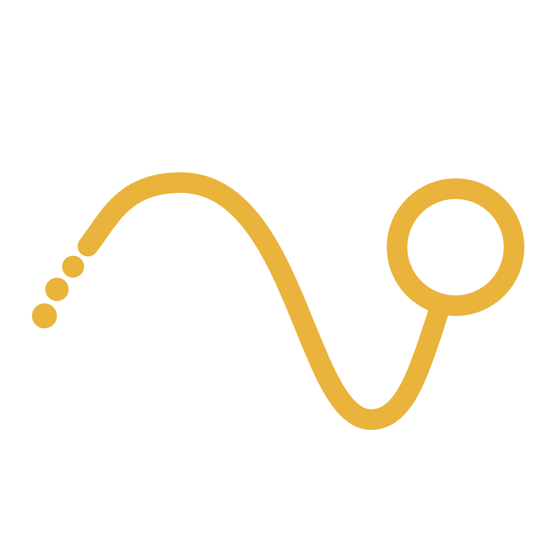 Motion Design